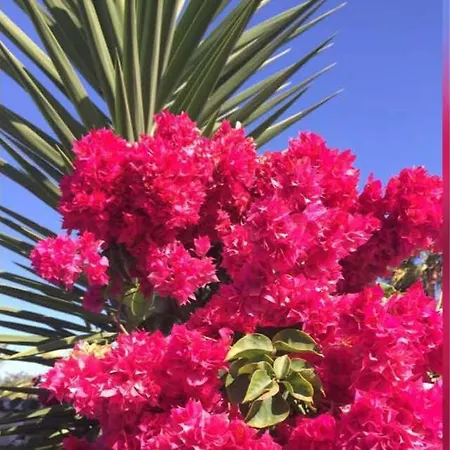 Espacioso 2 En Maspalomas (Gran Canaria)